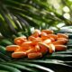 a vibrant arrangement of carica papaya leaf extract tablets set against a lush green backdrop, highlighting their natural origins and health benefits with a soft, diffused sunlight illuminating the scene.